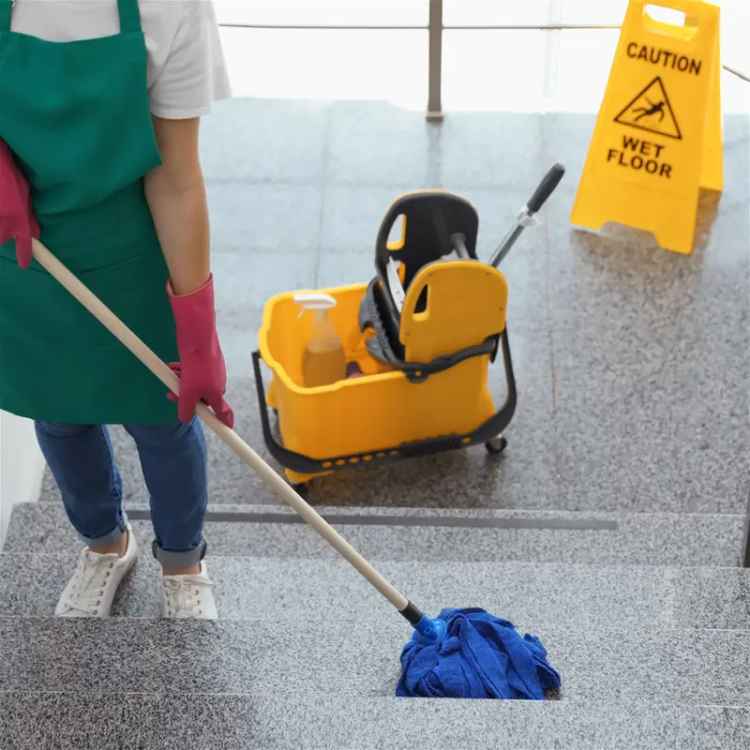 Nessy Cleaning Management Services - Easy To Run