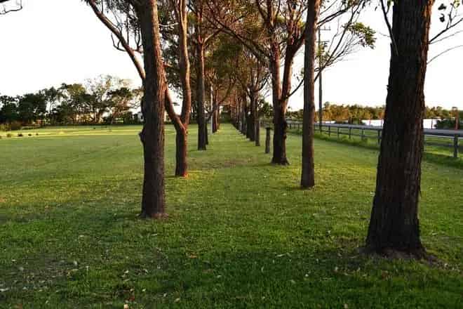 Land For Sale , Ballina Shire Council, New South Wales