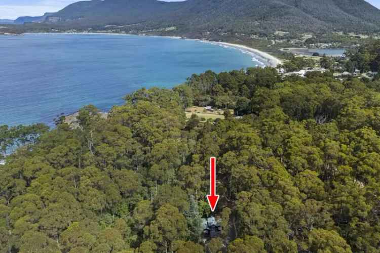 Buy rural property cottage near Pirates Bay with serene retreat features