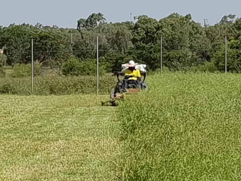 Buy Asset Management and Grounds Maintenance Business Operating from Home