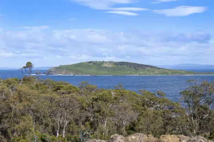 Rural For Sale in Tasman, Tasmania