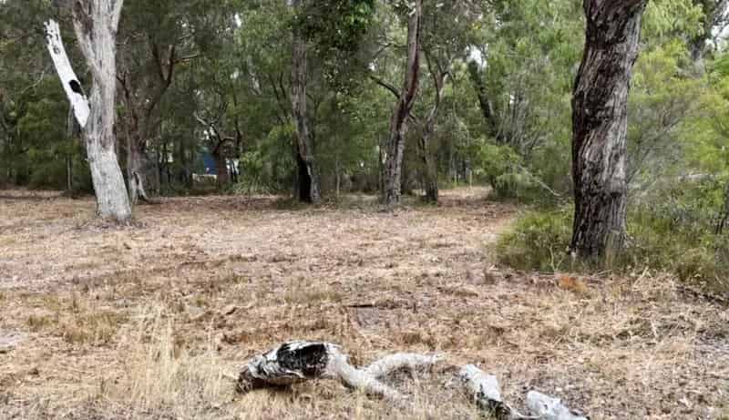 Prime Land for Sale in Walpole - A Rare Opportunity