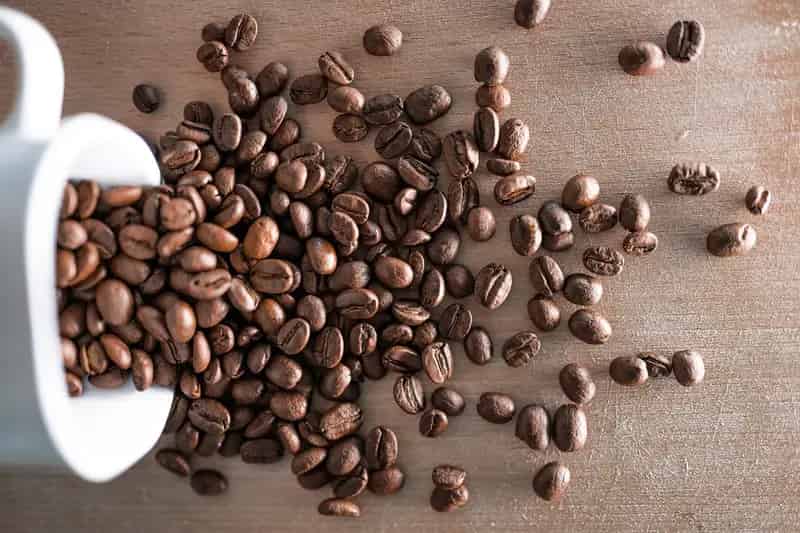 Buy Cafe in Prime Plaza Location in Brisbane South with High Foot Traffic