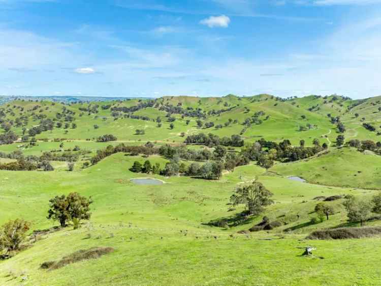 Buy farm land in rural retreat near Mansfield with stunning views