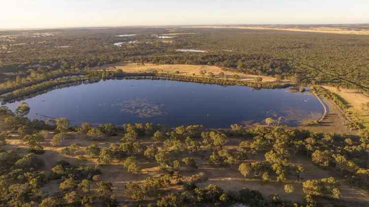 Buy rural property in Kingston SE with stunning lodge and abundant wildlife