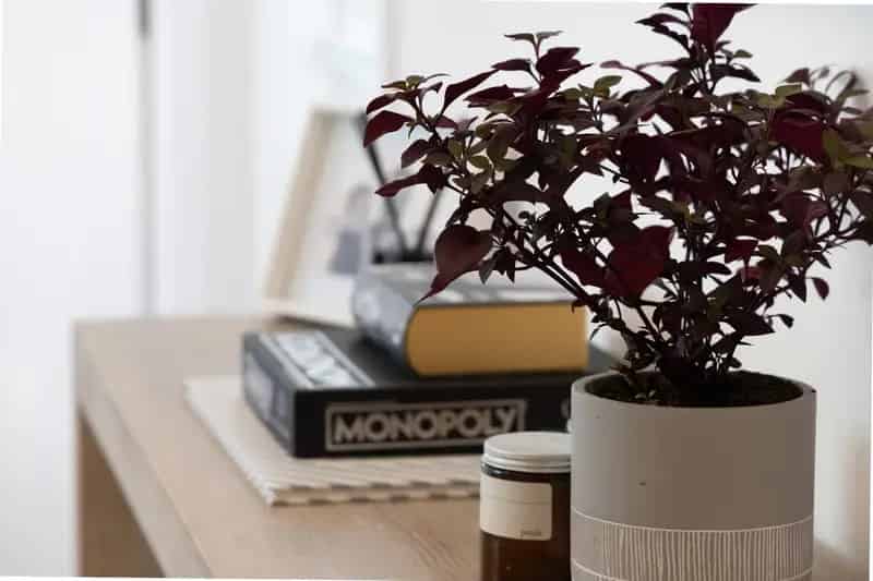 House For Sale , 9, Alexander Road, Sydney, New South Wales