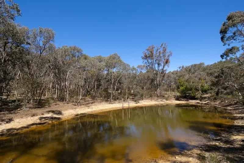 Buy Land in Yandoit - 15.95 Acres of Natural Serenity