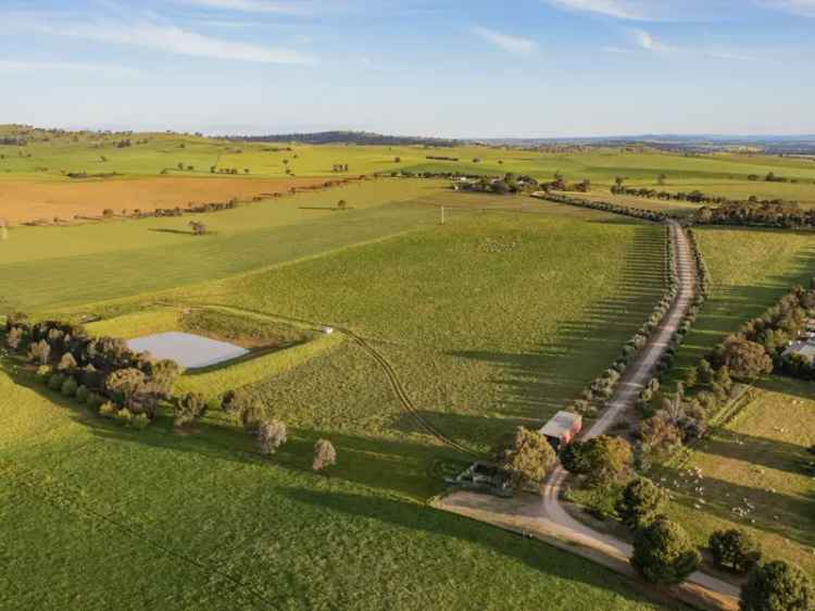 Buy Winery Function Centre and Homestead in Cottontail