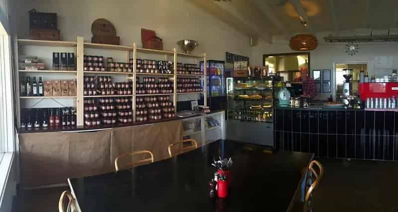 GINGERBABY AT CIRCA 1902  FOR SALE - QUEENSCLIFF