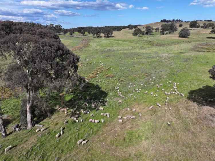 Rural For Sale in Binda, New South Wales