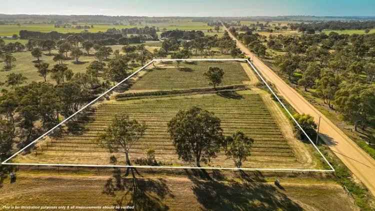 Hobby Vineyard in Premium Growing Country