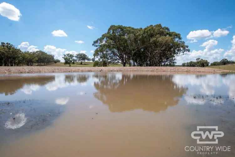 Rural For Sale in Snowy Monaro Regional Council, New South Wales