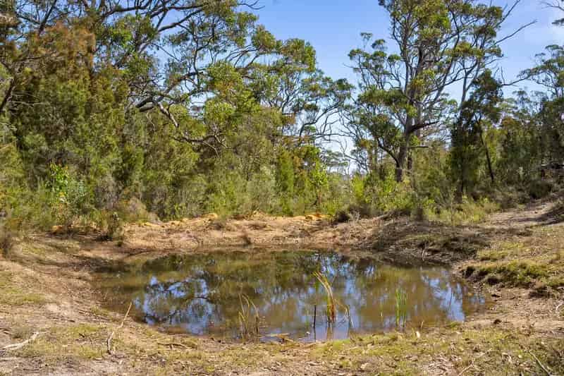 Two Stunning 50-Acre Tasmanian Bushland Parcels – Buy One or Both!