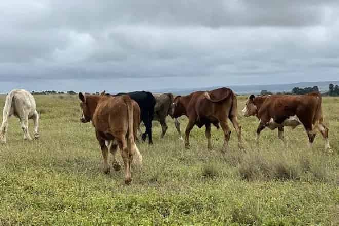 Rural property For Sale , South Burnett Regional, Queensland
