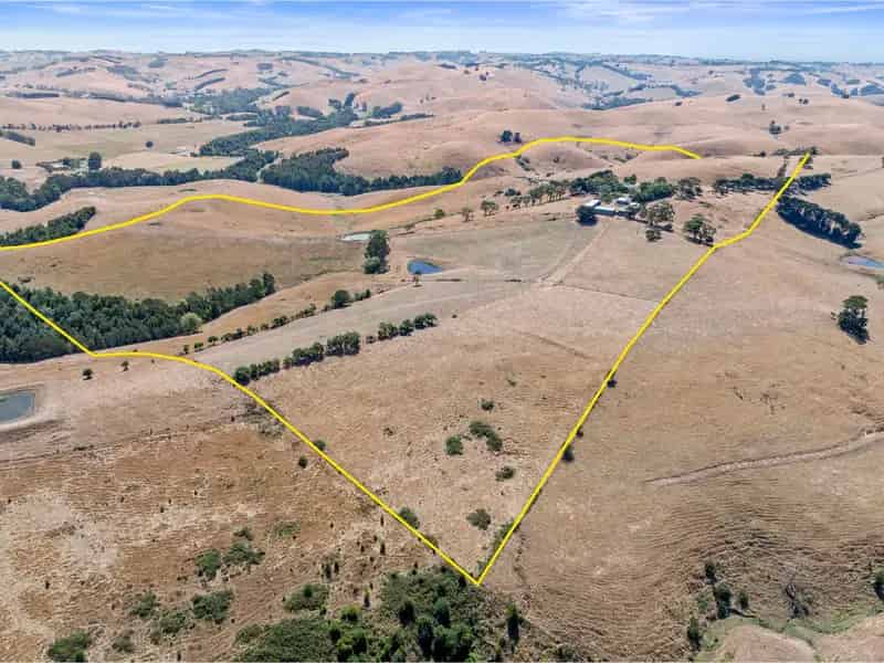 Stunning Rural Property with Unique Home and Quality Grazing Land