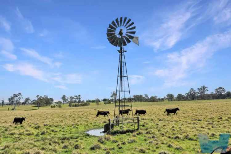 Buy rural property in Wy Yung with stunning views and livestock facilities