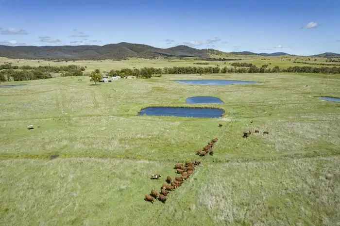 Rural For Sale in Southern Downs Regional, Queensland