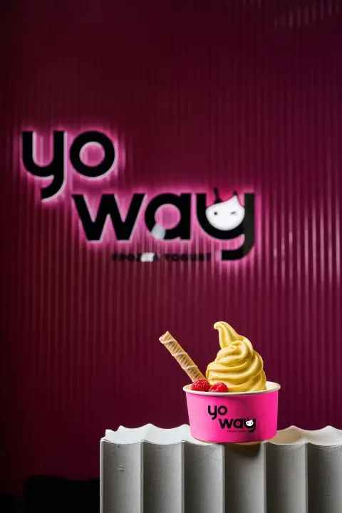 Invest in Yo Way: Premium Frozen Yogurt Franchise Opportunities