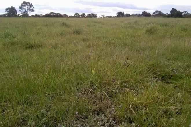 Land For Sale , 8, Massimo Court, Maryborough, Victoria