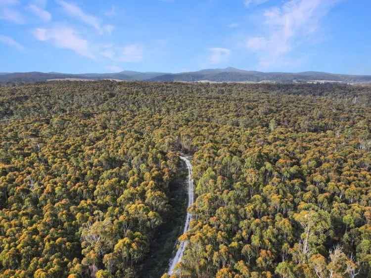 643 Acres Two Titles Mining Lease Timber Investment Opportunity