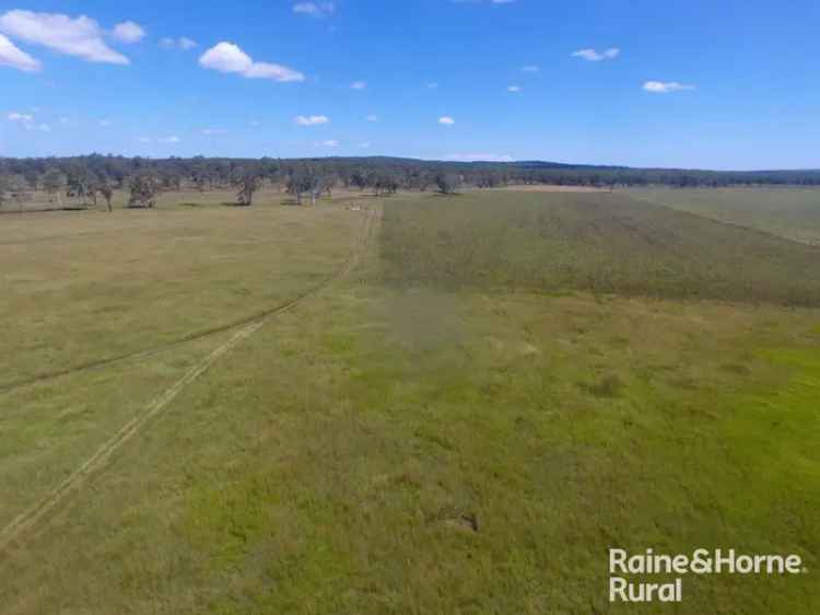 Buy rural property near Kingaroy with excellent cultivation and water supply