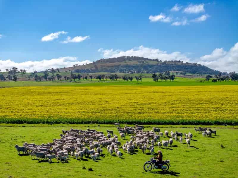 Landmark Large-Scale Farming & Grazing