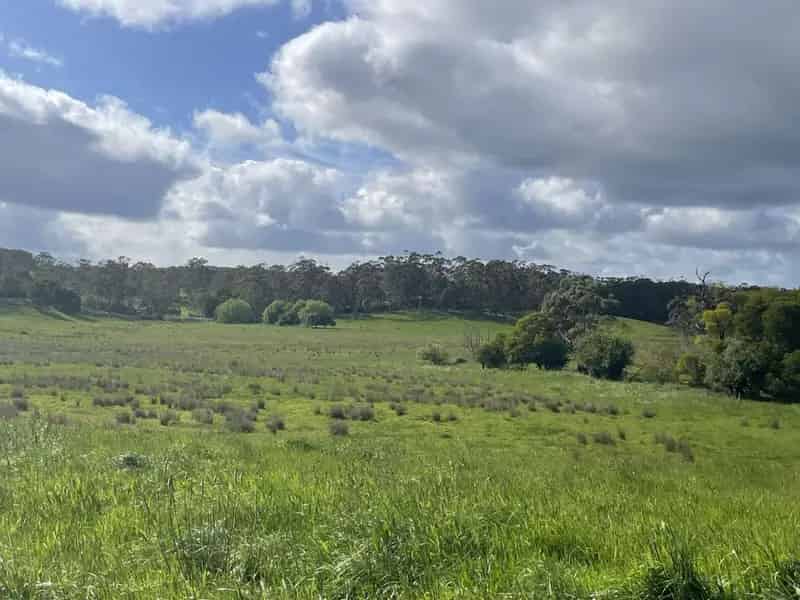 Lease Rural Property in Kennedys Creek with Cattle Yards and Water Supply