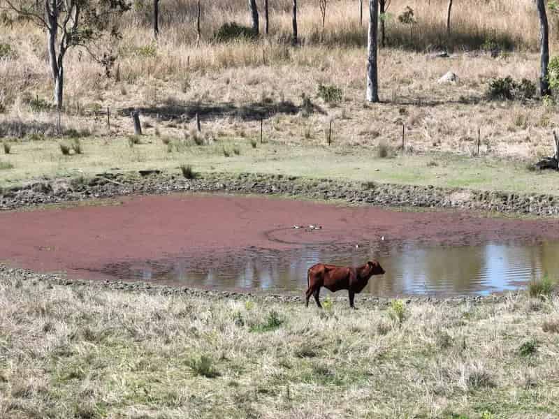 Flat and Usable! 39.66  Acres