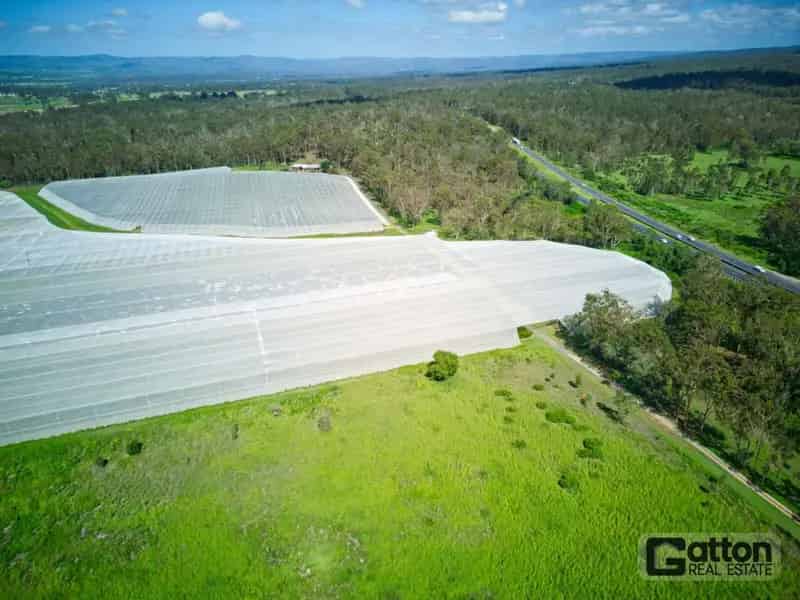 Buy Rural Property with Orchard Features in Serene 63.4 Acres