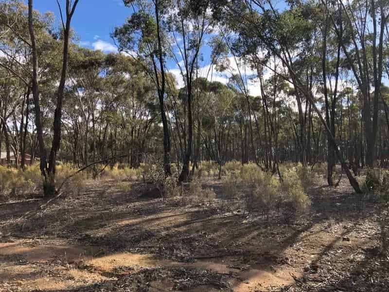 Buy Residential Rural Lifestyle Land in Maryborough with Power Access