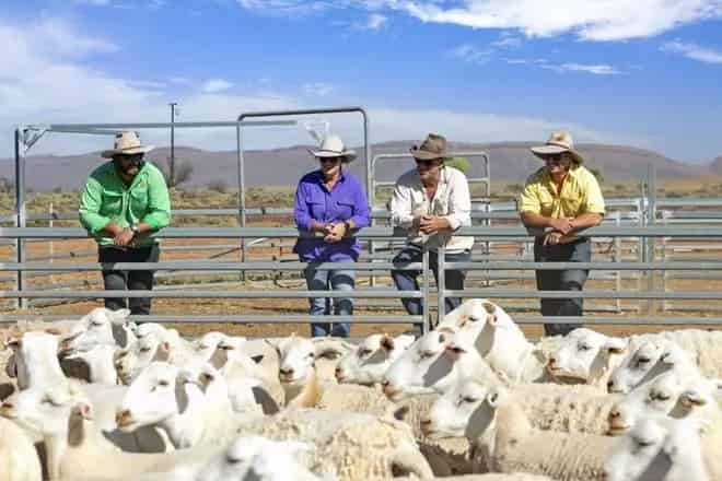 Rural property For Sale , South Australia