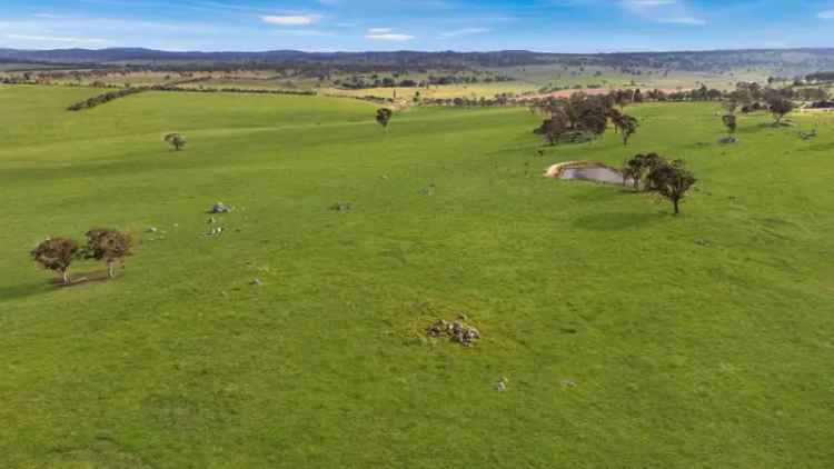 Rural For Sale in Armidale Regional Council, New South Wales