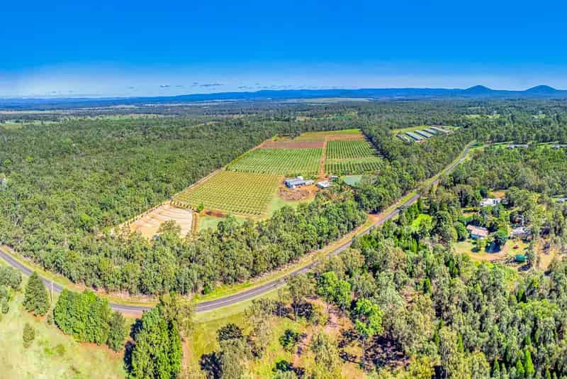 SERIOUS MONEY BUT NON-SOPHISTICATED FRUIT FARM - LAND SIZE: 16HA (40 acres)