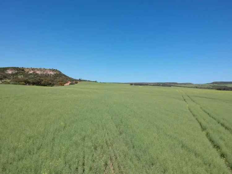 Rural property For Sale in Shire Of Chapman Valley, Western Australia