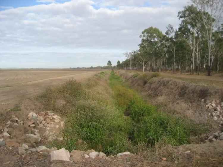 Cane Farm with New Irrigation System and Machinery