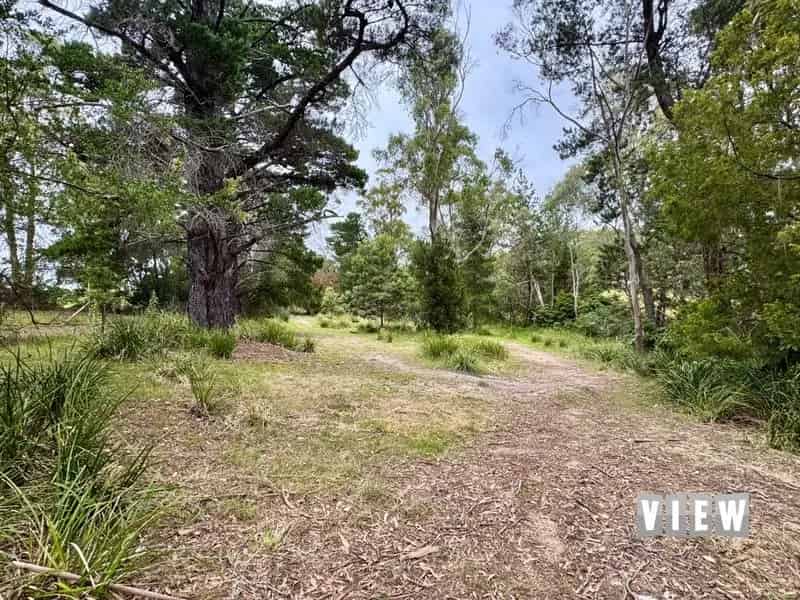 Buy Land in St Helens Tasmania with Stunning Bushland Backdrop