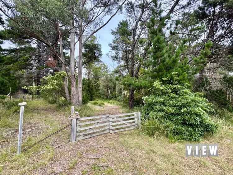 Buy Land in St Helens Tasmania with Stunning Bushland Backdrop