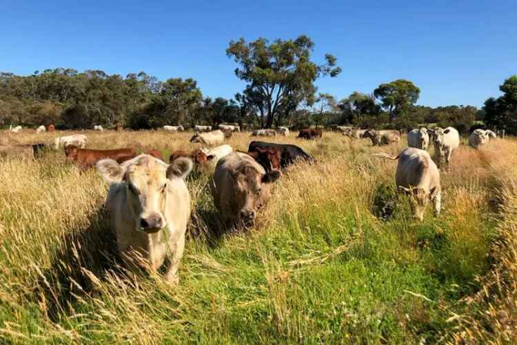 Rural For Sale in Shire Of Denmark, Western Australia