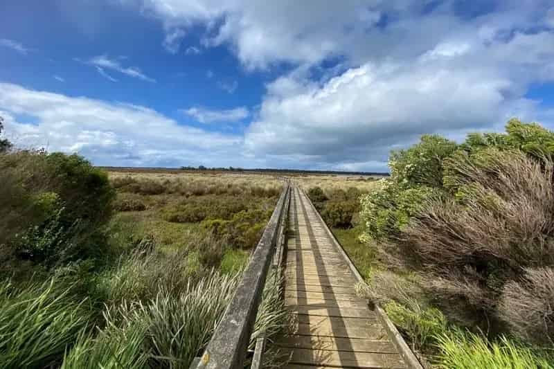 Buy Coastal Land in McLoughlins Beach with Scenic Water Views