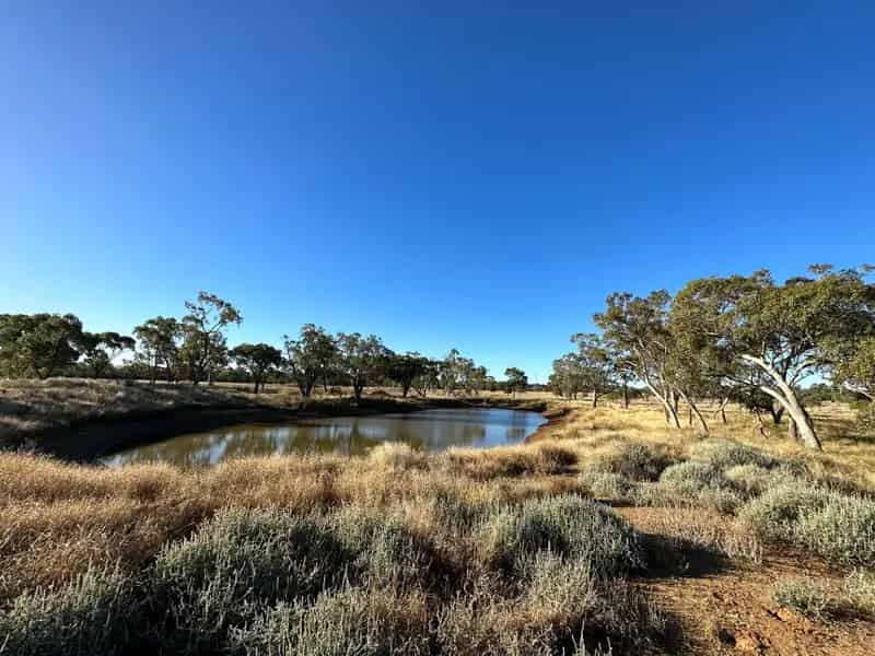 Rural Lifestyle Block - Highway Frontage