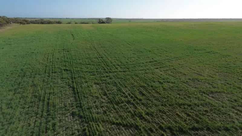 For Sale Rural Property Bartleys on Palabie Road