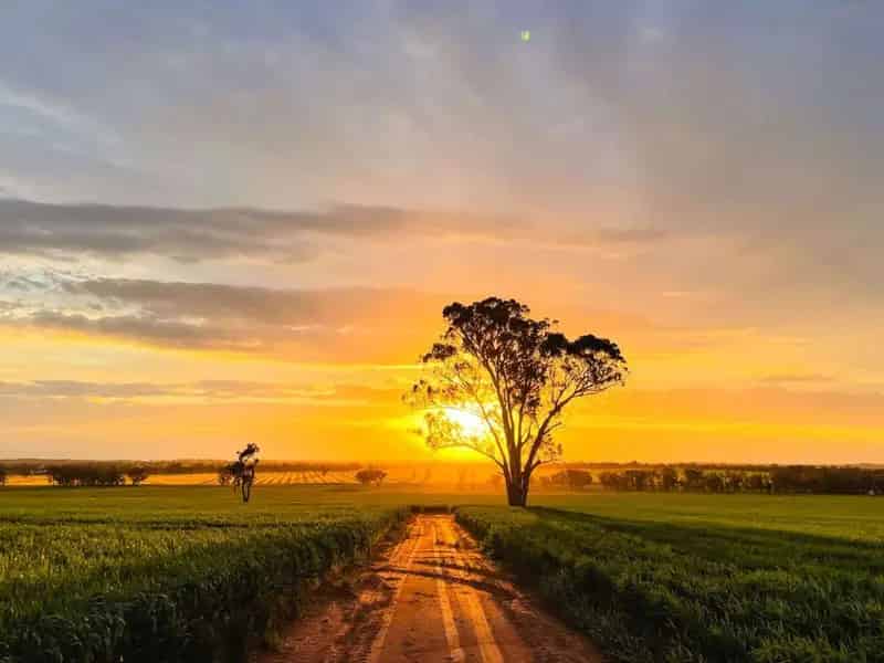 Rural property For Sale , The Rock, New South Wales