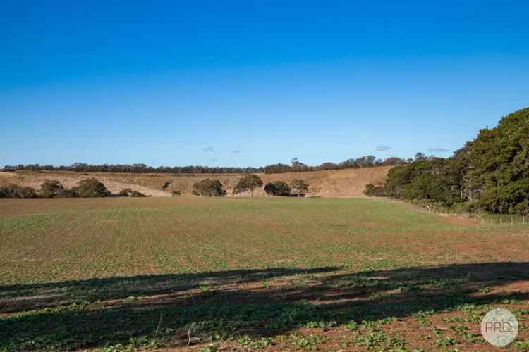 Land Banking Opportunity With Productive Rich Soil On 164 Acres