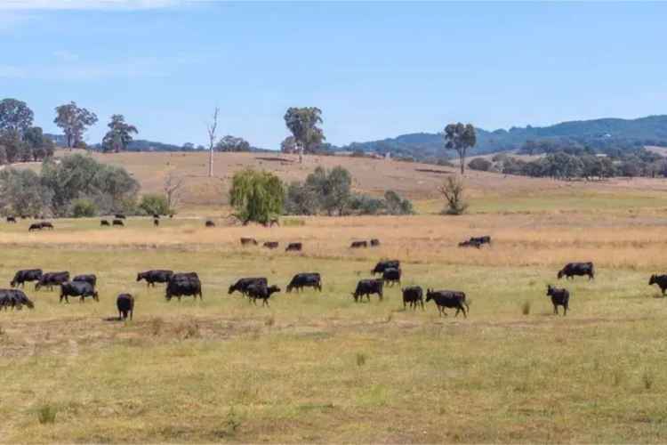 Buy rural property Ancona Station in Victoria with agricultural potential