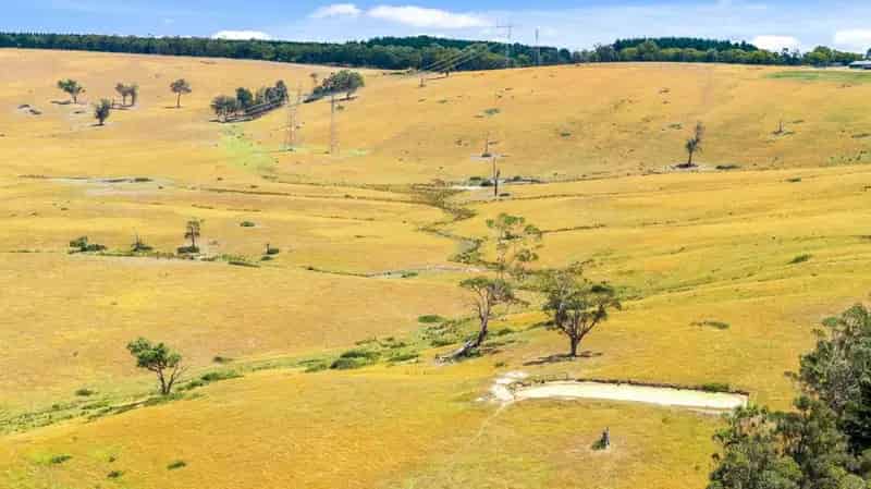 Buy Rural Property in Traralgon with Cattle Yards and Multiple Dams