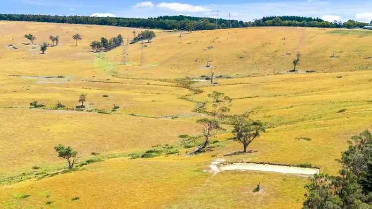 386 Acres Farmland Near Traralgon - Cattle Grazing Dairy Farming