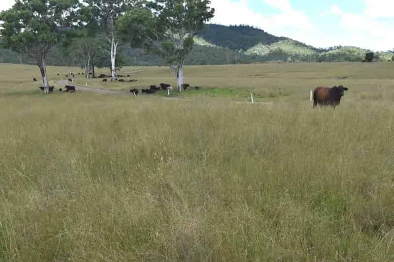 Rural property For Sale , Somerset Regional, Queensland
