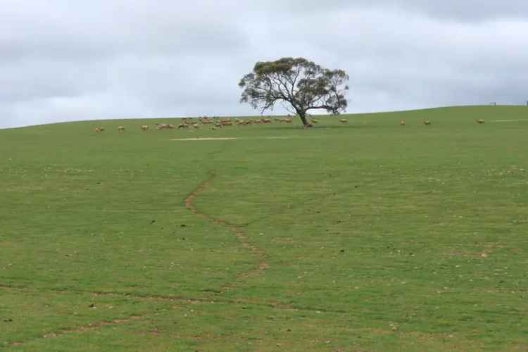 Rural For Sale in Jamestown, South Australia