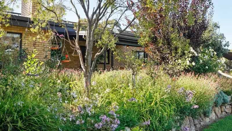 Rural property For Sale , Coonabarabran, New South Wales