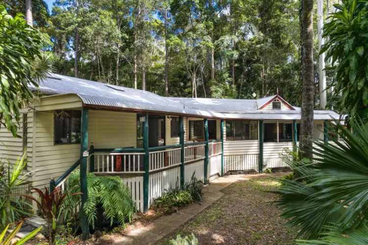 10-Acre - Dual Living Hinterland Oasis - 20 min to Noosa River